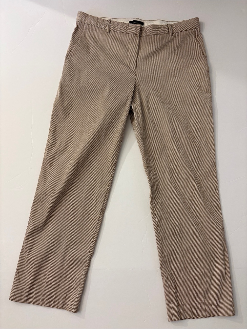 Treeca 4 Theory pants. Size 6